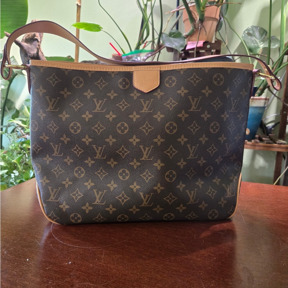 Louis Vuitton Classic Brown Monogram Hobo Bag